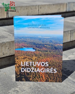 Knyga "Lietuvos didžiagirės"