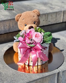 Gift "Teddy Bear Cake"